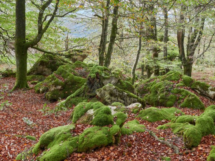 parque natural de urbasa andia